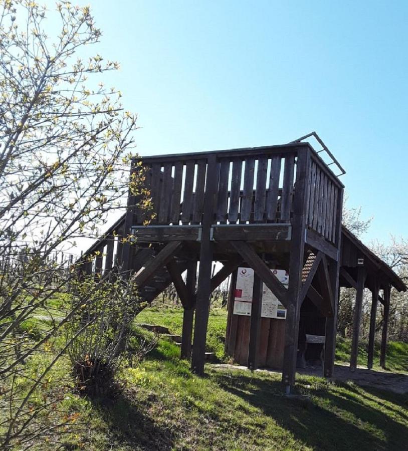 Ferienwohnung - Zimmervermietung Ringelmann Dettelbach Exterior foto